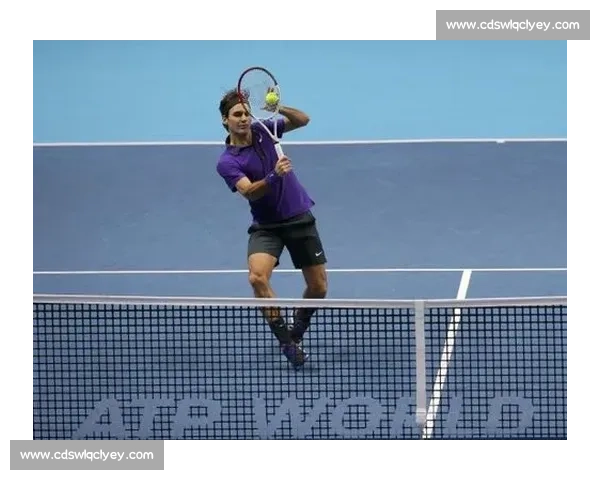 费德勒与德尔波特罗巅峰对决回顾网坛经典瞬间再现时代对抗的荣耀与遗憾