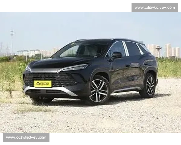 阿姆卡尔主场迎战中央陆军强强对话看点与走势全面解析