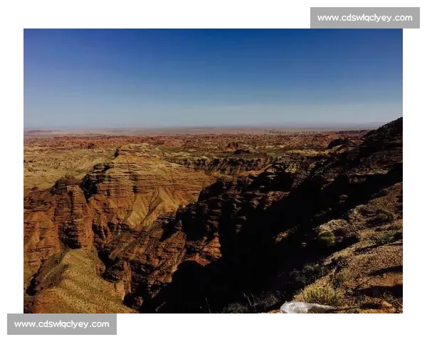 许家恒在挑战与突破中展现自我实力成为行业新兴领袖的成长历程